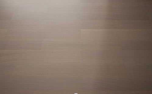 榮臣地板無極系列產(chǎn)品圖