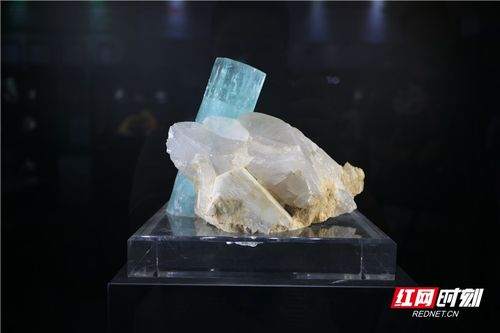 組圖 珠光寶氣 各類精品寶玉石令人目不暇接