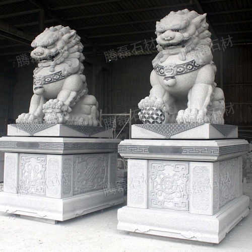 廣場石雕獅子雕刻 大型石雕石雕獅子生產 泉州石雕獅子訂購批發